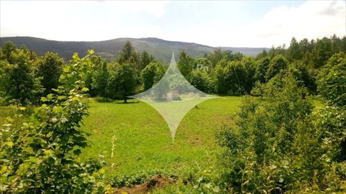 działka na sprzedaż 8239m2 działka Kowary, Karkonoska