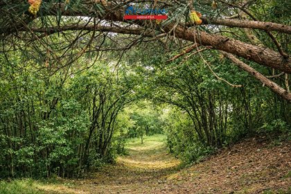 działka na sprzedaż 32921m2 działka Biała/Trzcianka, Biała