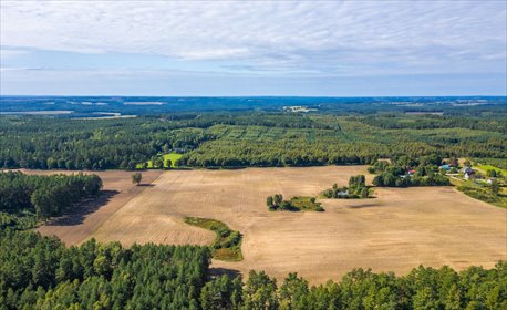 Zapraszam do zakupu działki 156 538 m² w Czarna Dąbrówka działka Czarna Dąbrówka