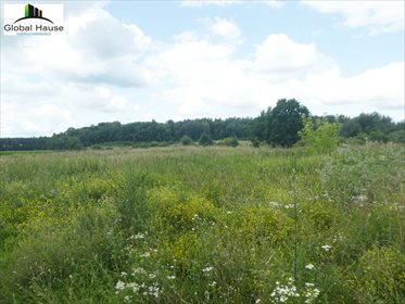 Działka rolna na sprzedaż Grzegorze 545m2 Foto 6