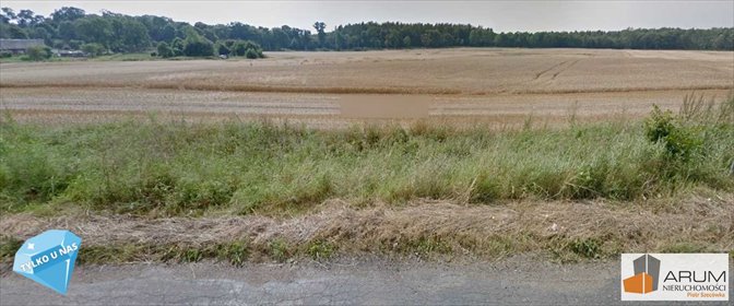 działka na sprzedaż 61652m2 działka Korsze, Prosna