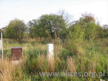 działka na sprzedaż 1028m2 działka Baszkówka, Bez Nazwy