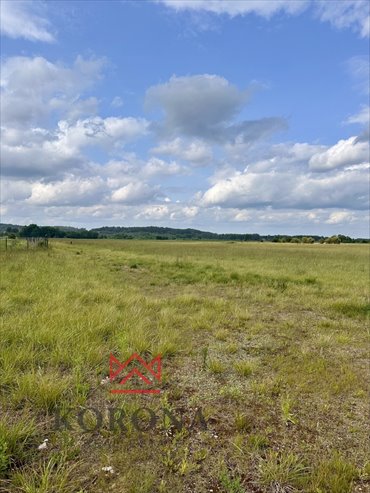 działka na sprzedaż 35500m2 działka Wasilków