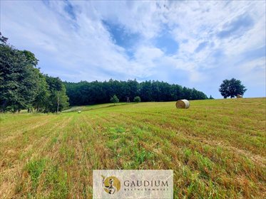 działka na sprzedaż 1000m2 działka Kczewo