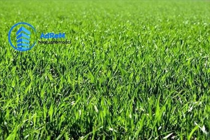 działka na sprzedaż 34500m2 działka Czechy Orlańskie