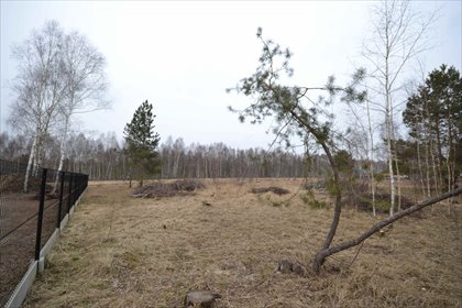 Działka budowlana na sprzedaż Częstochowa, Konwaliowa 1 061m2 Foto 4