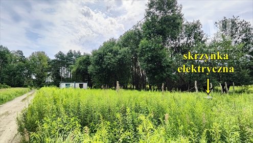 Działka inwestycyjna 1671 m² w Żółwiej Błoci (media, las) działka Żółwia Błoć