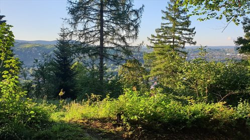 działka na sprzedaż 654m2 działka Myślenice, Zarabie