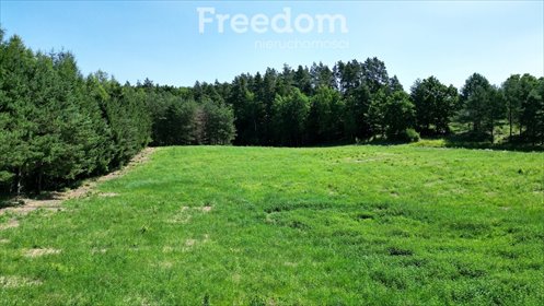 Działki nad Kanałem Iławskim (6 sztuk, 1,65 ha) z warunkami zabudowy działka Dębinka