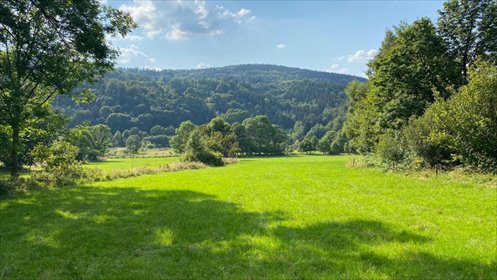 działka na sprzedaż 1002m2 działka Rzeczka