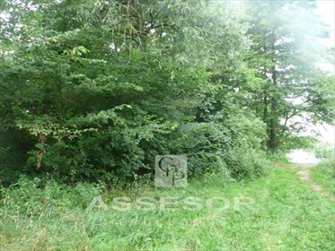 Działka rolna 8 400 m² z mediami - polecam działka Sierzchów, Gm. Opatówek
