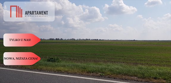 Działka inwestycyjna 15 100 m² przy S10 - Lisi Ogon działka Lisi Ogon, Cicha