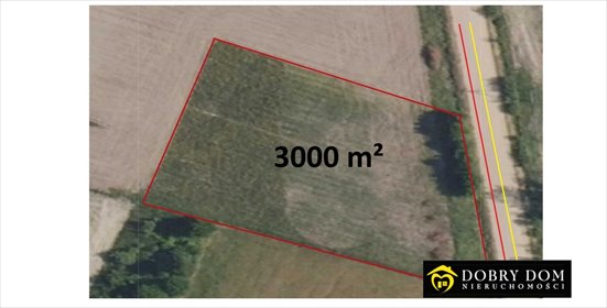 działka na sprzedaż 3000m2 działka Rafałówka