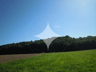 działka na sprzedaż 6000m2 działka Zalesie