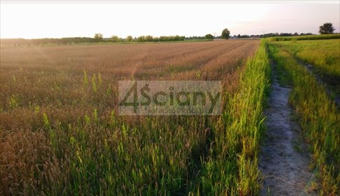 Działka 1136 m² z mediami - MPZP Błonie działka Błonie