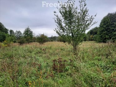 działka na sprzedaż 11141m2 działka Durąg