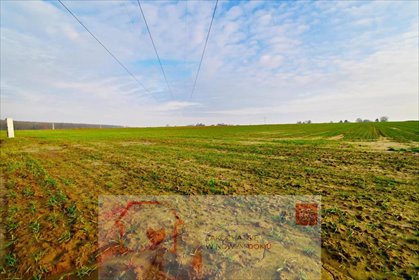 działka na sprzedaż 1400m2 działka Zemborzyce Podleśne