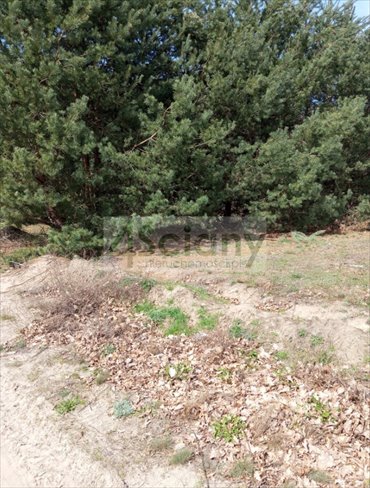 Działka z dostępem do rzeki w Broku – 2771 m² działka Brok