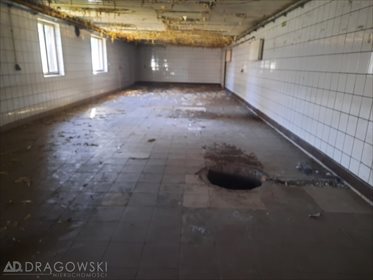 Lokal użytkowy na sprzedaż Stare Lipiny 2 455m2 Foto 5