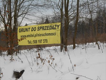działka na sprzedaż 50000m2 działka Jagodnik