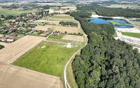 działka na sprzedaż 1997m2 działka Paniowice, Cicha