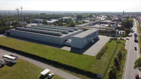 lokal użytkowy na sprzedaż 8805m2 lokal użytkowy Sokołów Małopolski, Lubelska