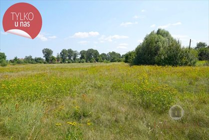 działka na sprzedaż 978m2 działka Deszczno