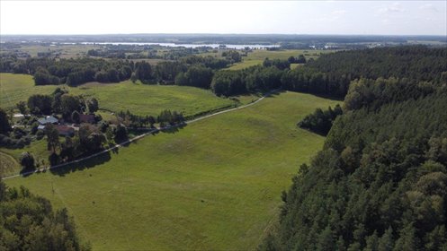 działka na sprzedaż 4600m2 działka Dobra Wola, Dobra Wola