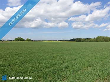 działka na sprzedaż 11500m2 działka Skoczów