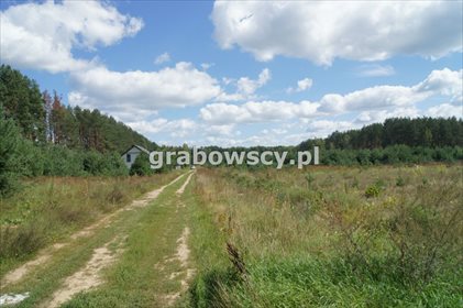 Działka budowlana na sprzedaż Zwierki 922m2 Foto 3