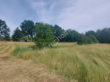 Działka budowlana na sprzedaż Zalesie 5 000m2 Foto 5
