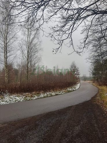 Działka rolna na sprzedaż Stare Polesie 3 000m2 Foto 5