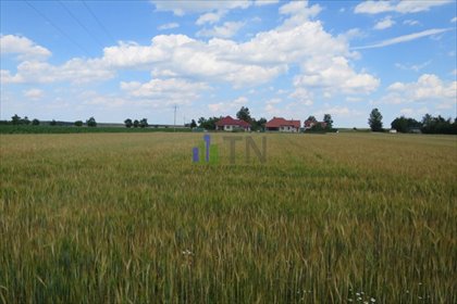 Działka budowlana 1000 m² w Brzezinkach - polecam działka Brzezinki