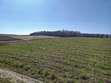 działka na sprzedaż 13740m2 działka Szatarpy