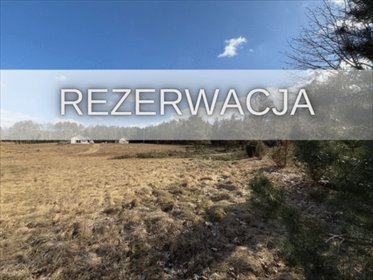 działka na sprzedaż 1250m2 działka Krzyż