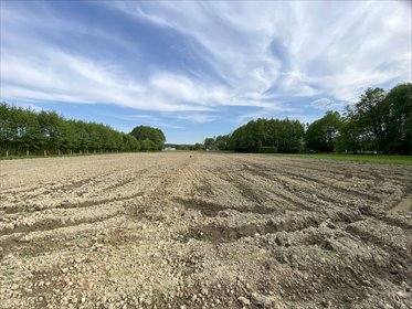 działka na sprzedaż 1171m2 działka Kiczyce, Kiczyce