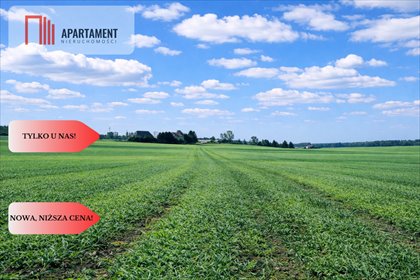 działka na sprzedaż 11800m2 działka Osetno