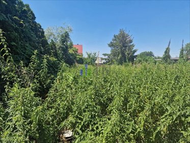 działka na sprzedaż 1302m2 działka Jeszkowice, Truskawkowa