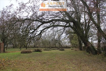 działka na sprzedaż 3000m2 działka Gąbin