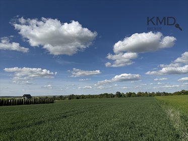 działka na sprzedaż 6000m2 działka Strzyżewice