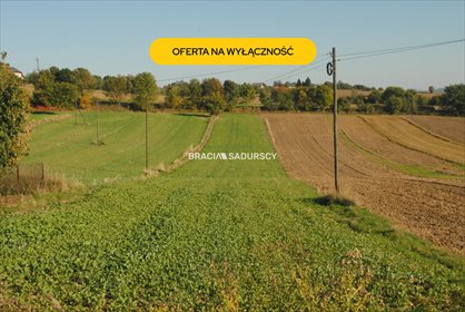 Działka budowlano-rolna 28 arów w Brzeziu (media, asfalt) działka Brzezie