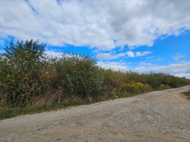 Działka inwestycyjna 3861 m² z dostępem do drogi - polecam! działka Świebodzice, Ciernie