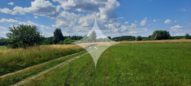 działka na sprzedaż 7985m2 działka Dobrzyniewo Kościelne