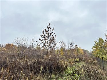 działka na sprzedaż 4070m2 działka Sochaczew, Rozlazłowska