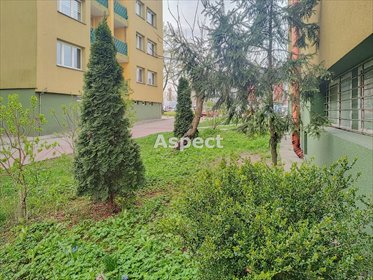 mieszkanie na sprzedaż 36m2 mieszkanie Tychy, D
