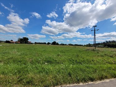 działka na sprzedaż 4713m2 działka Psucin, Leśna