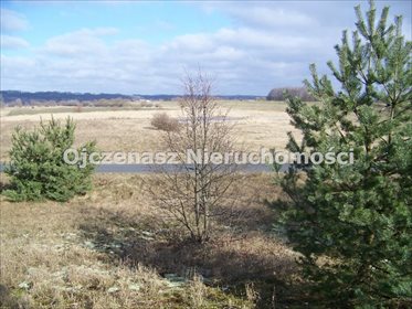 działka na sprzedaż 3996m2 działka Czarże