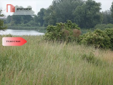 Malownicza działka 5300m² nad jeziorami z linią brzegową działka Rogowo