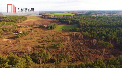 Działka w Godzimierzu z lasem i potencjałem inwestycyjnym działka Godzimierz