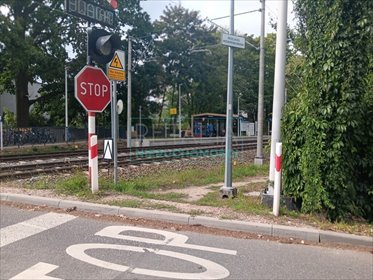 działka na sprzedaż 4900m2 działka Grodzisk Mazowiecki